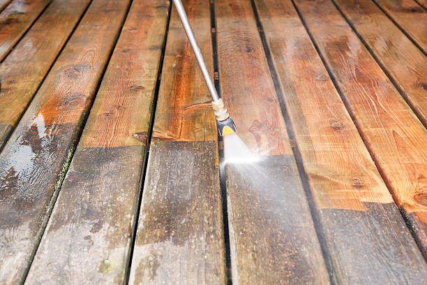 Solar Panel Cleaning in Harrington, DE